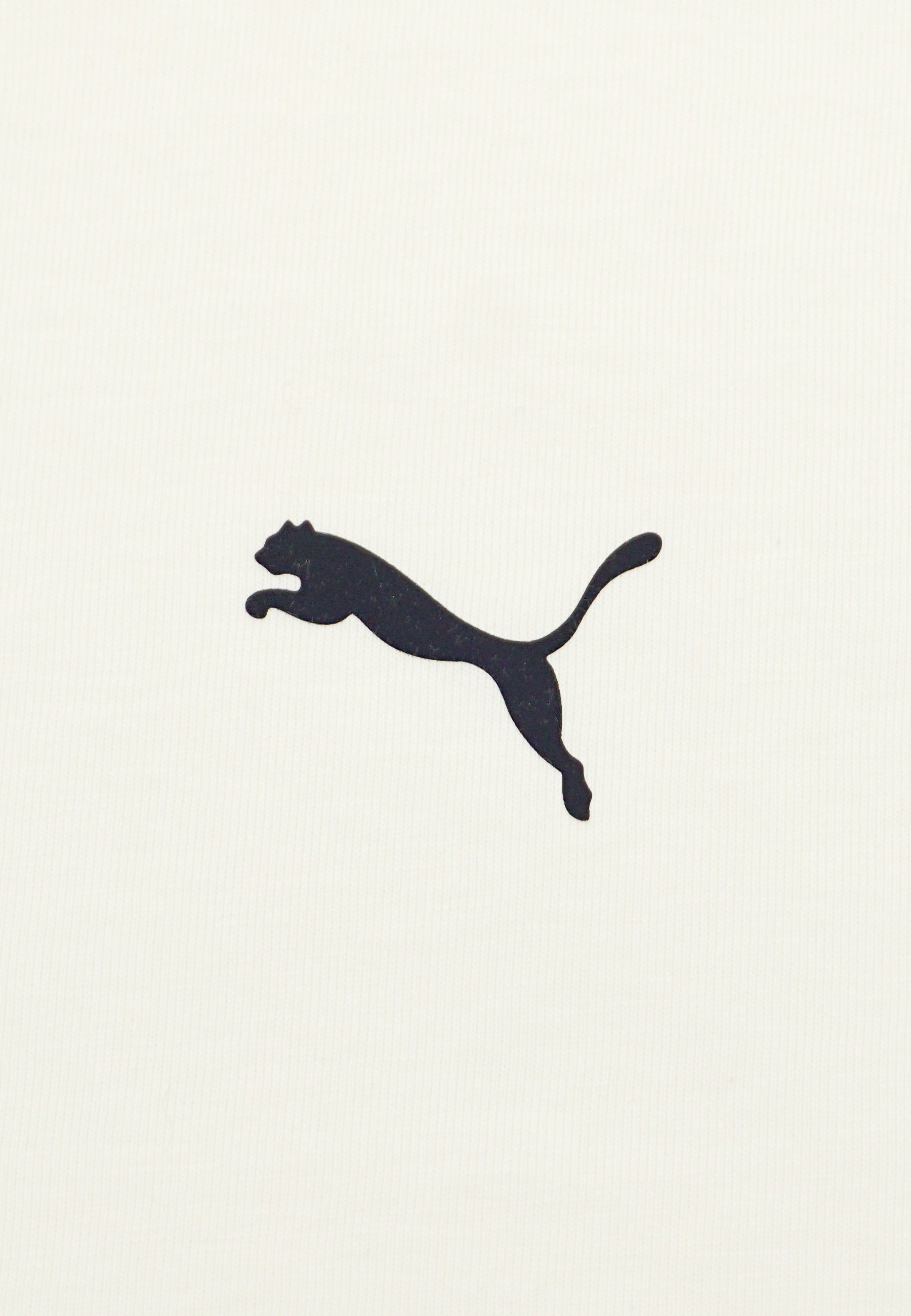 Puma RAD/CAL Kapuzensweatshirt