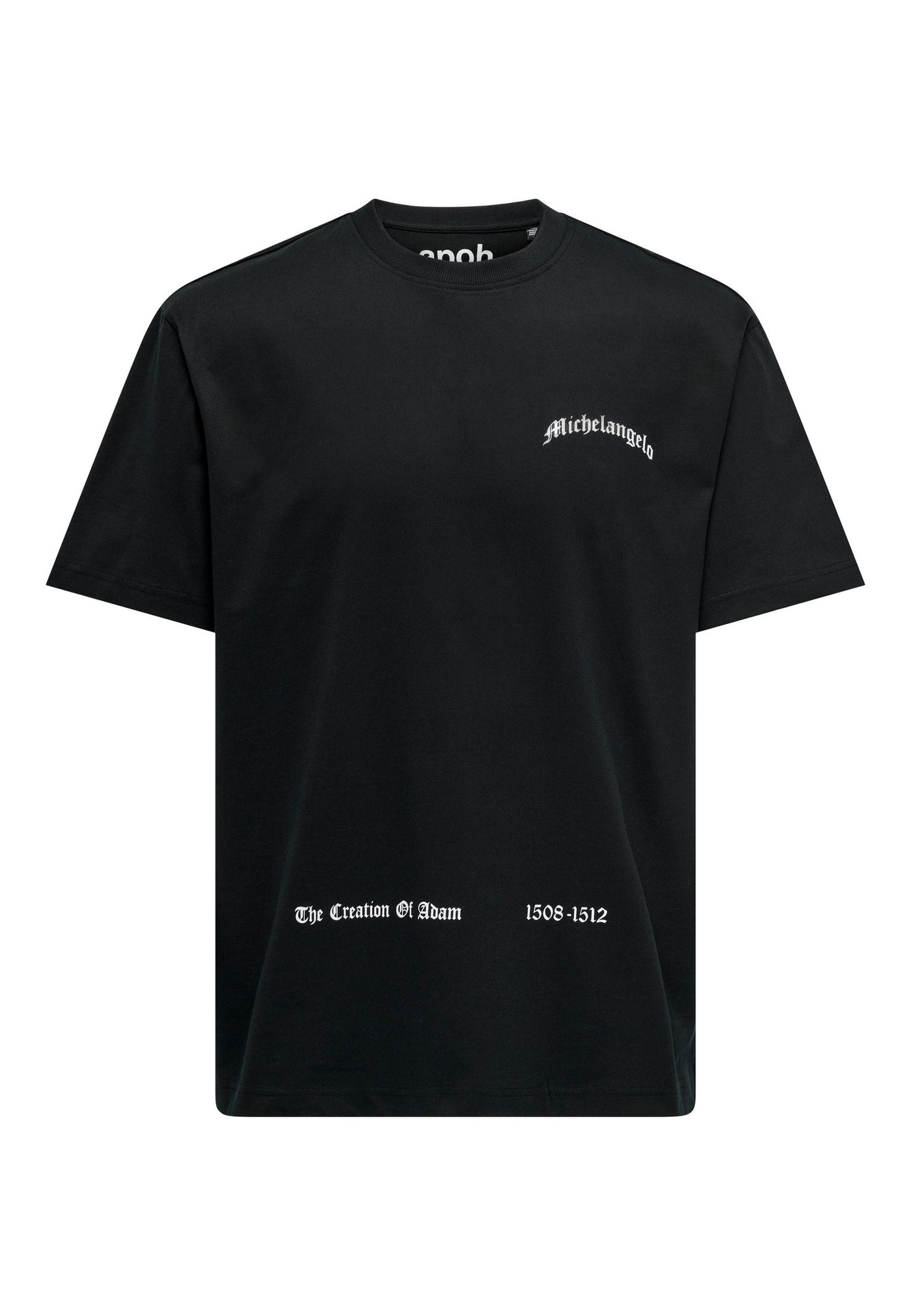 Only & Sons Apoh Life Kurzarmshirt mit Frontprint