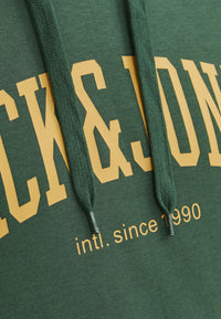 Jack & Jones Josh Hoodie mit Kapuze