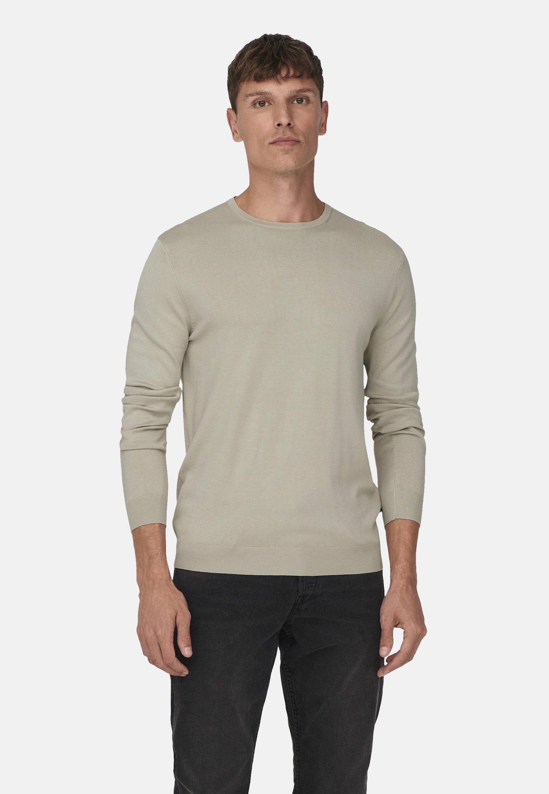 Only & Sons WYLER Strickpullover R-Neck