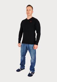 U.S. POLO Pullover V-Neck