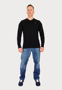 U.S. POLO Pullover V-Neck