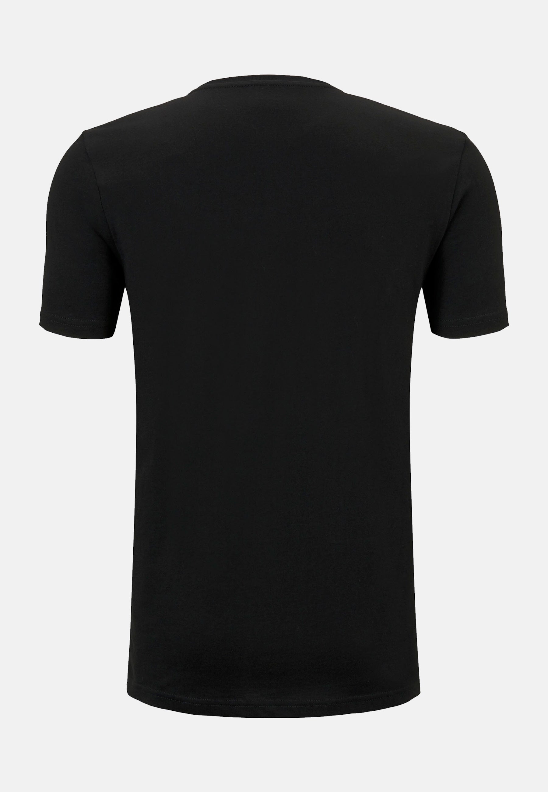 Tom Tailor T-Shirts 2er Pack Rundhals TT