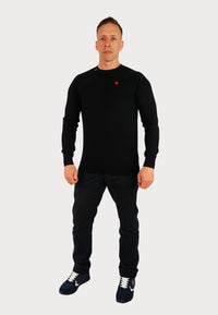 U.S. POLO Pullover R-Neck