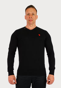 U.S. POLO Pullover V-Neck