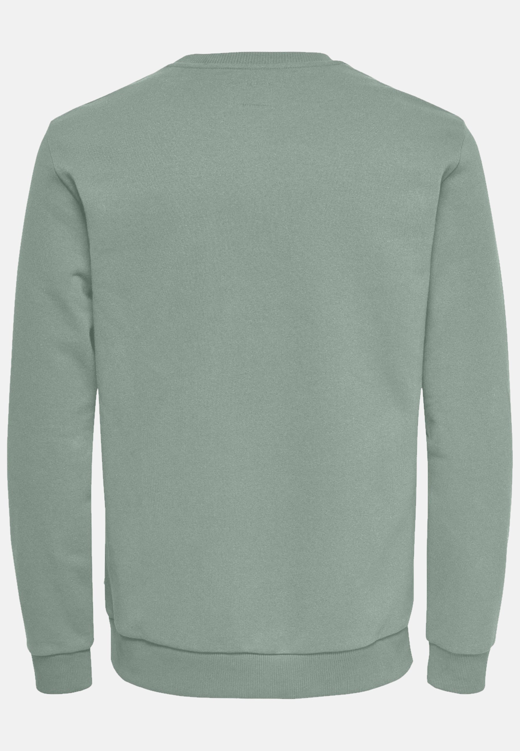 Only & Sons CERES Sweatshirt