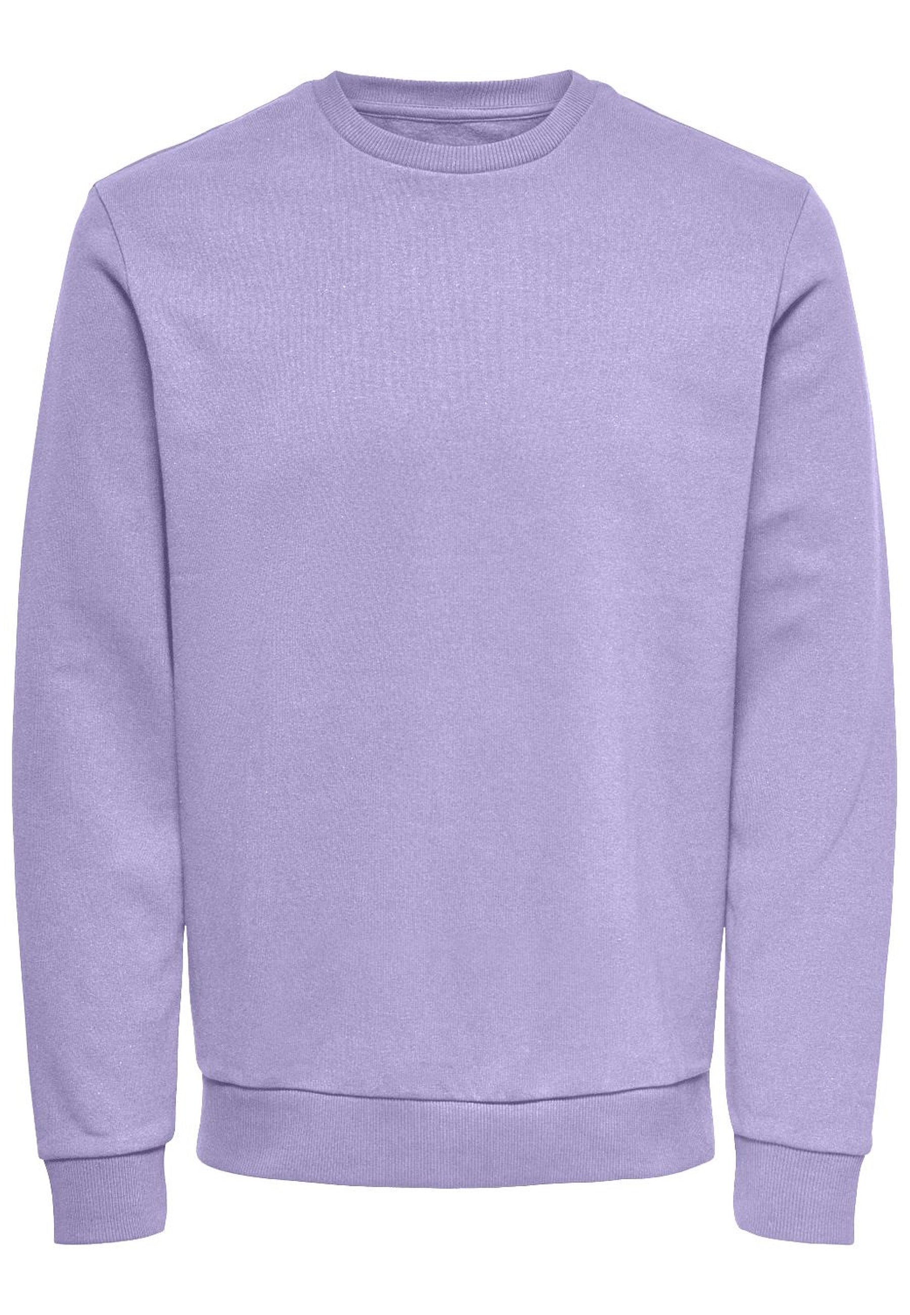 Only & Sons CERES Sweatshirt