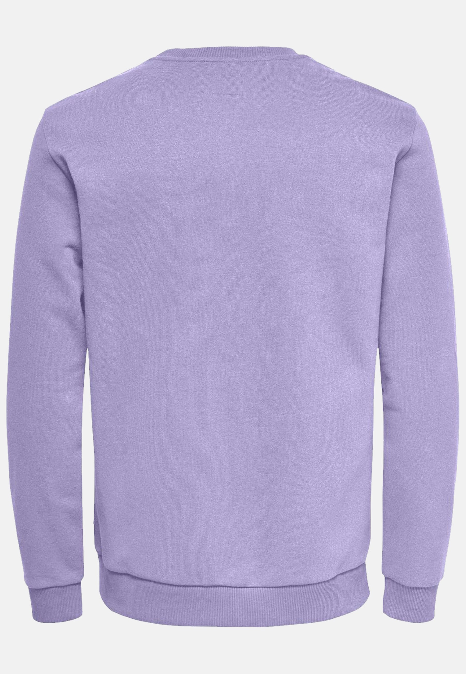 Only & Sons CERES Sweatshirt