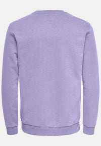Only & Sons CERES Sweatshirt