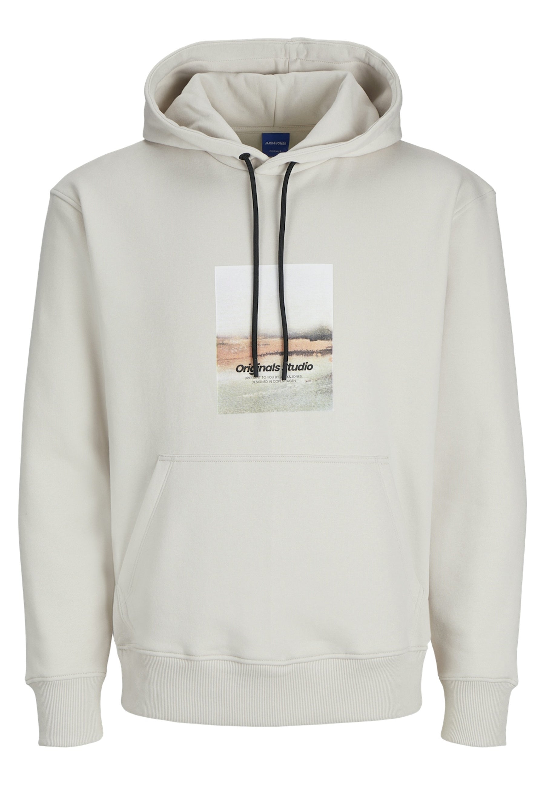Jack & Jones VESTERBRO NEWTON Hoodie