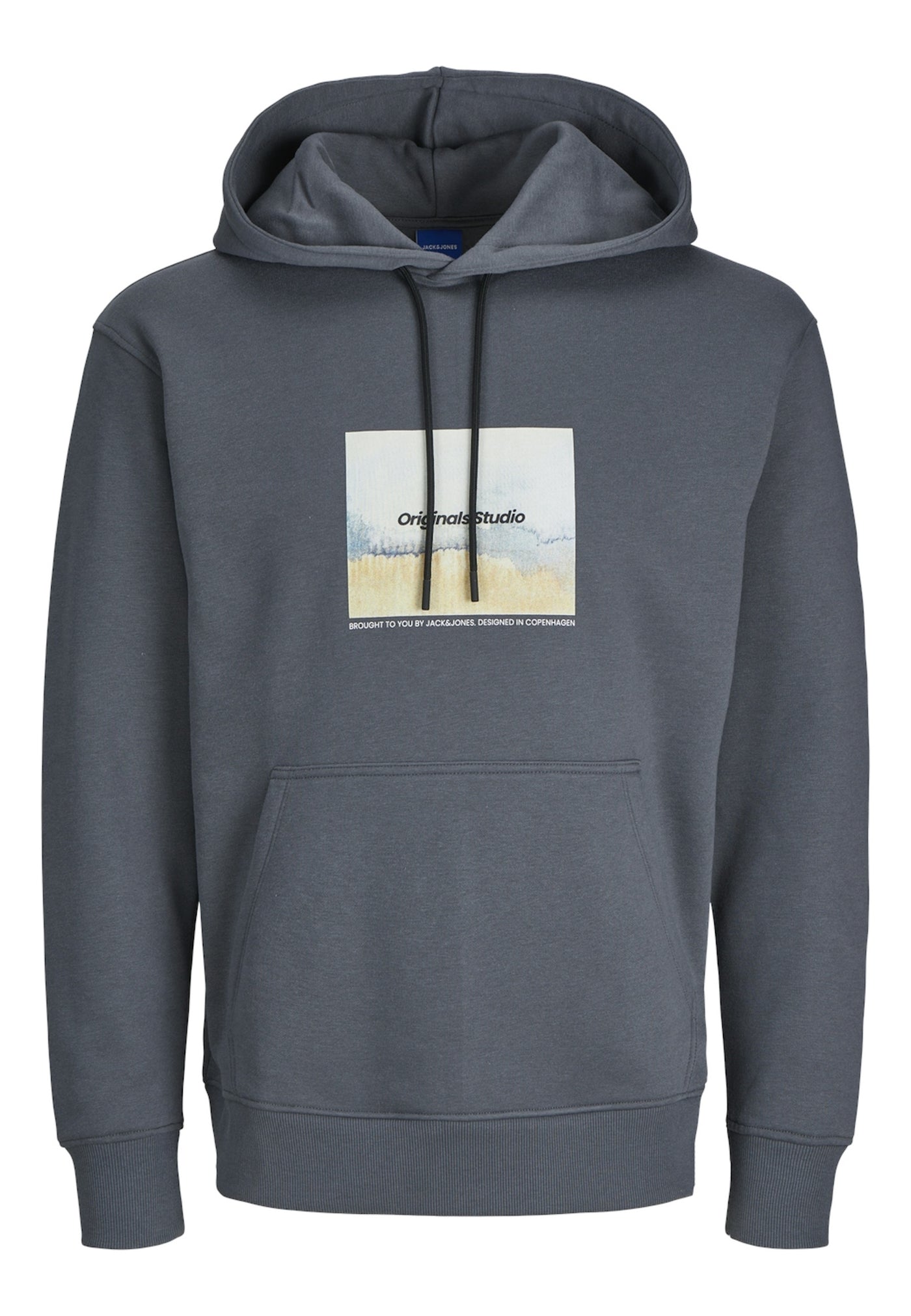 Jack & Jones VESTERBRO NEWTON Hoodie