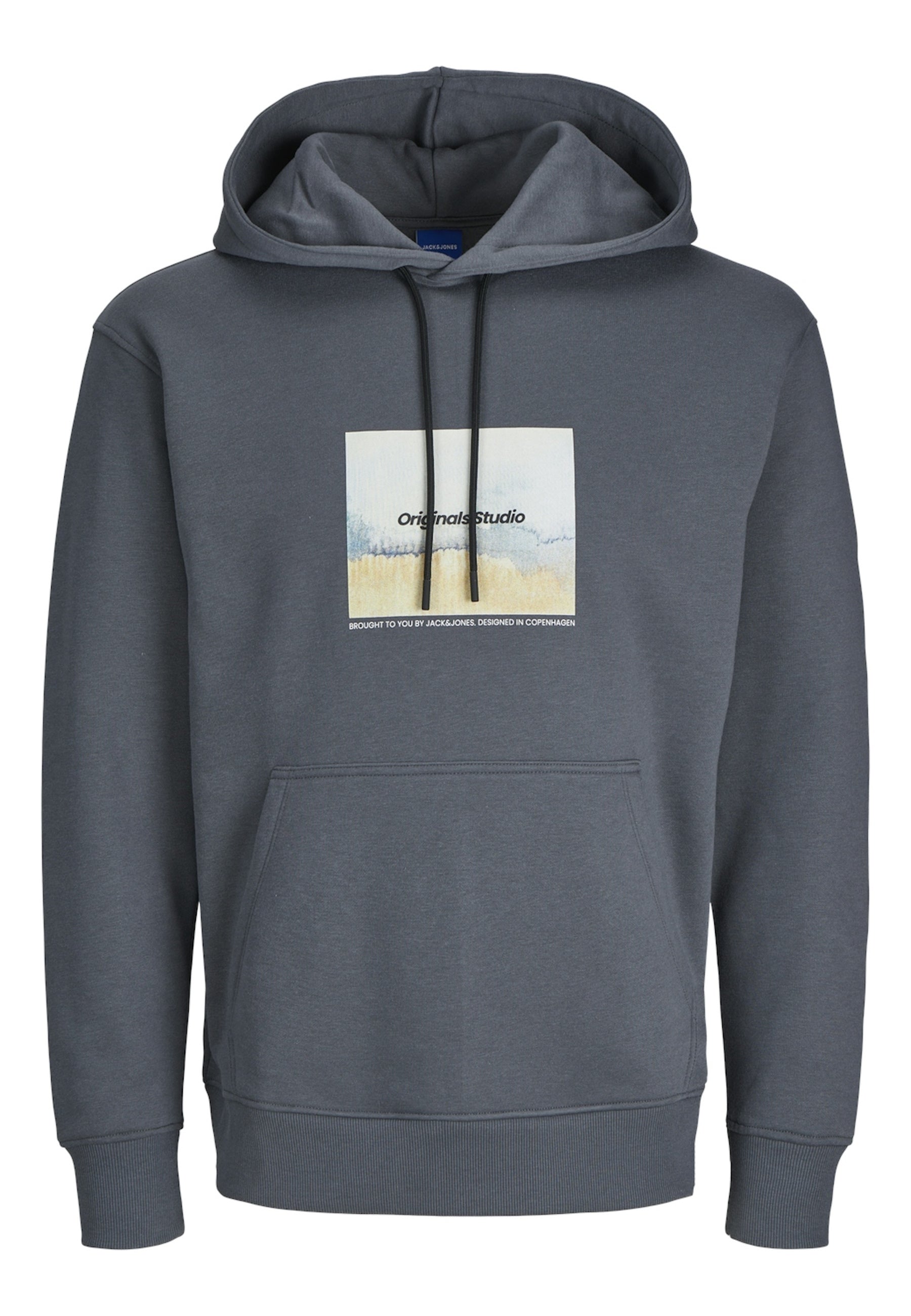 Jack & Jones VESTERBRO NEWTON Hoodie