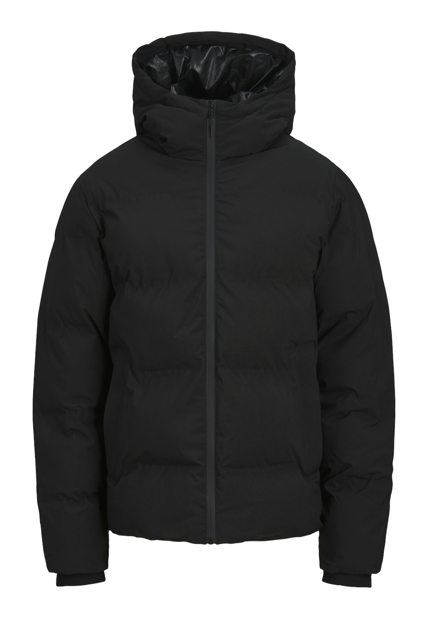 Jack & Jones PAYNE Steppjacke