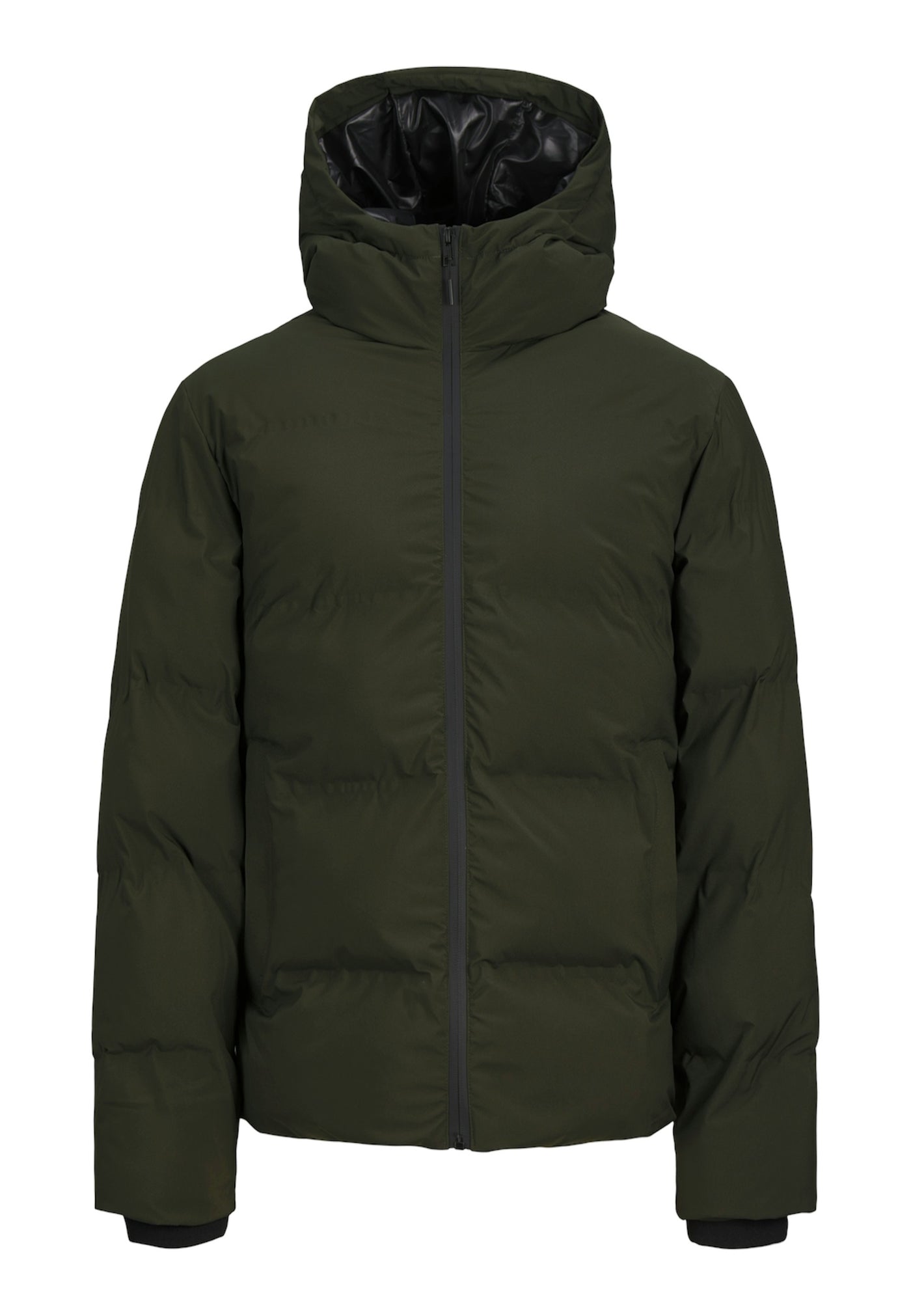 Jack & Jones PAYNE Steppjacke
