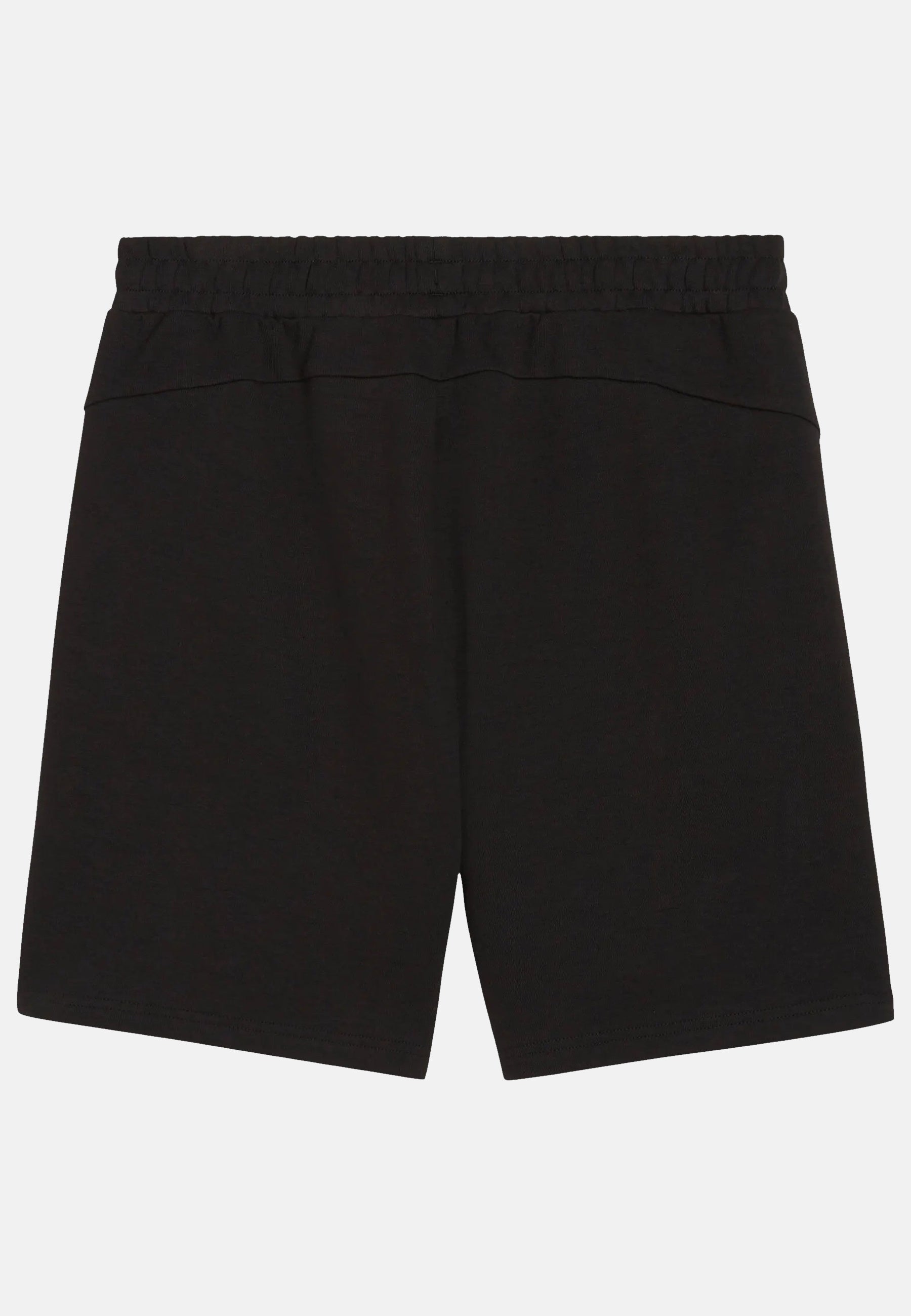 Puma Teamfinal Casuals Shorts