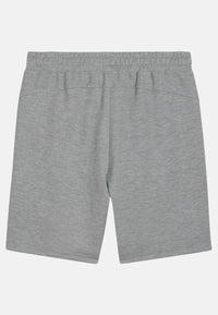 Puma Teamfinal Casuals Shorts