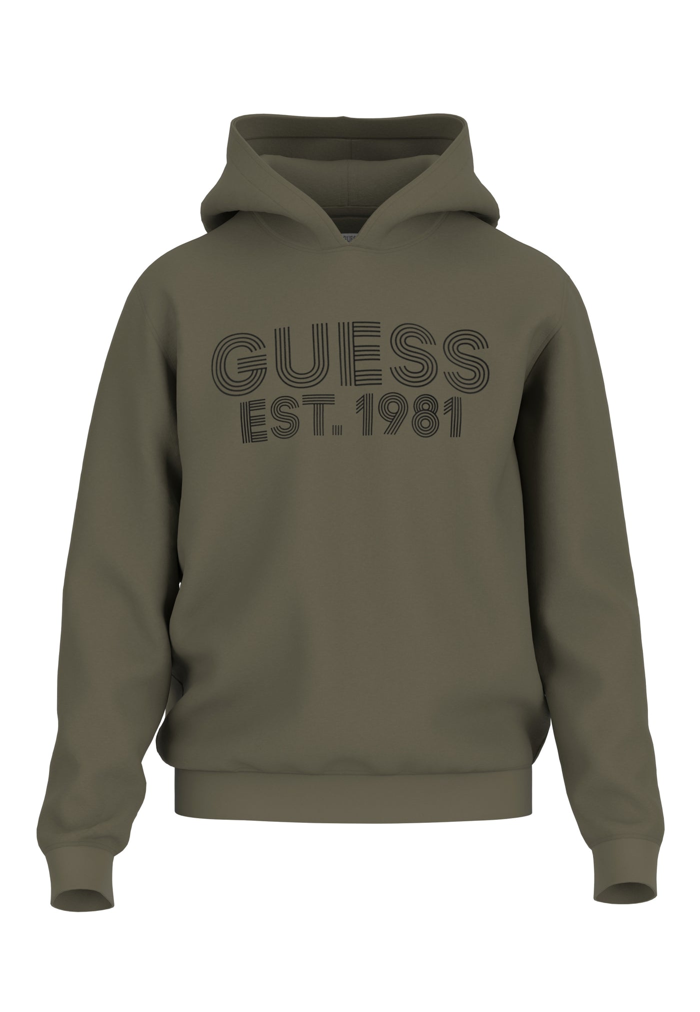 Guess Hoodie BEAU
