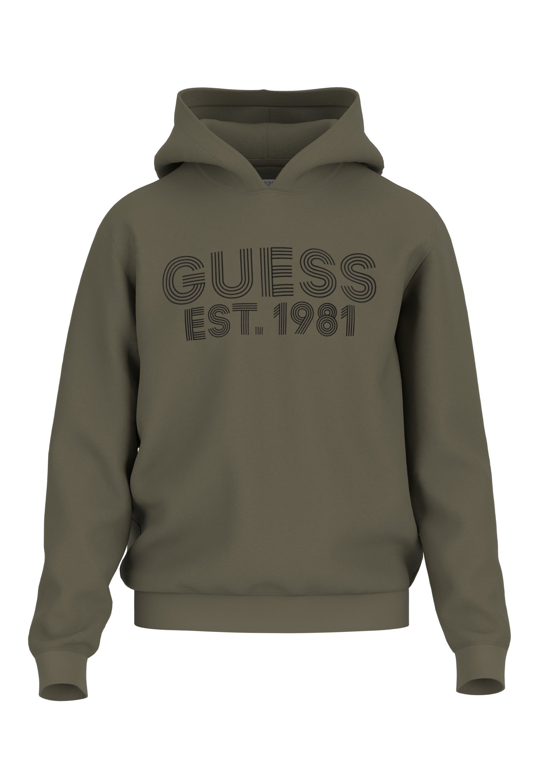 Guess Hoodie BEAU