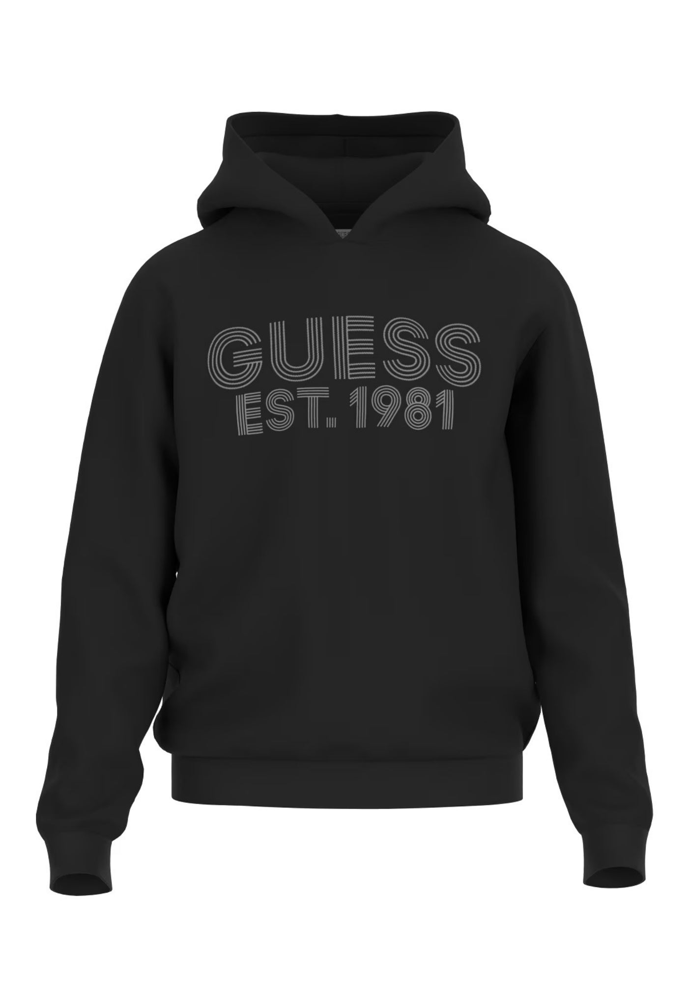 Guess Hoodie BEAU