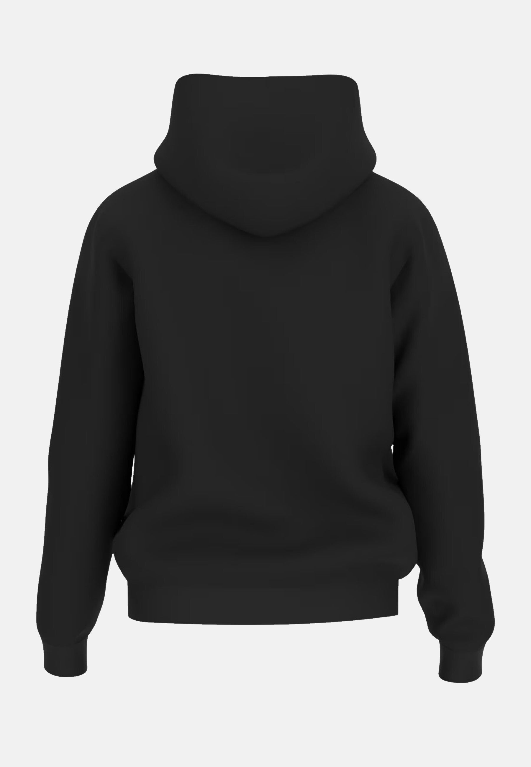 Guess Hoodie BEAU