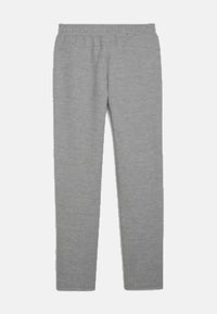 Puma teamFINAL Casuals Pants