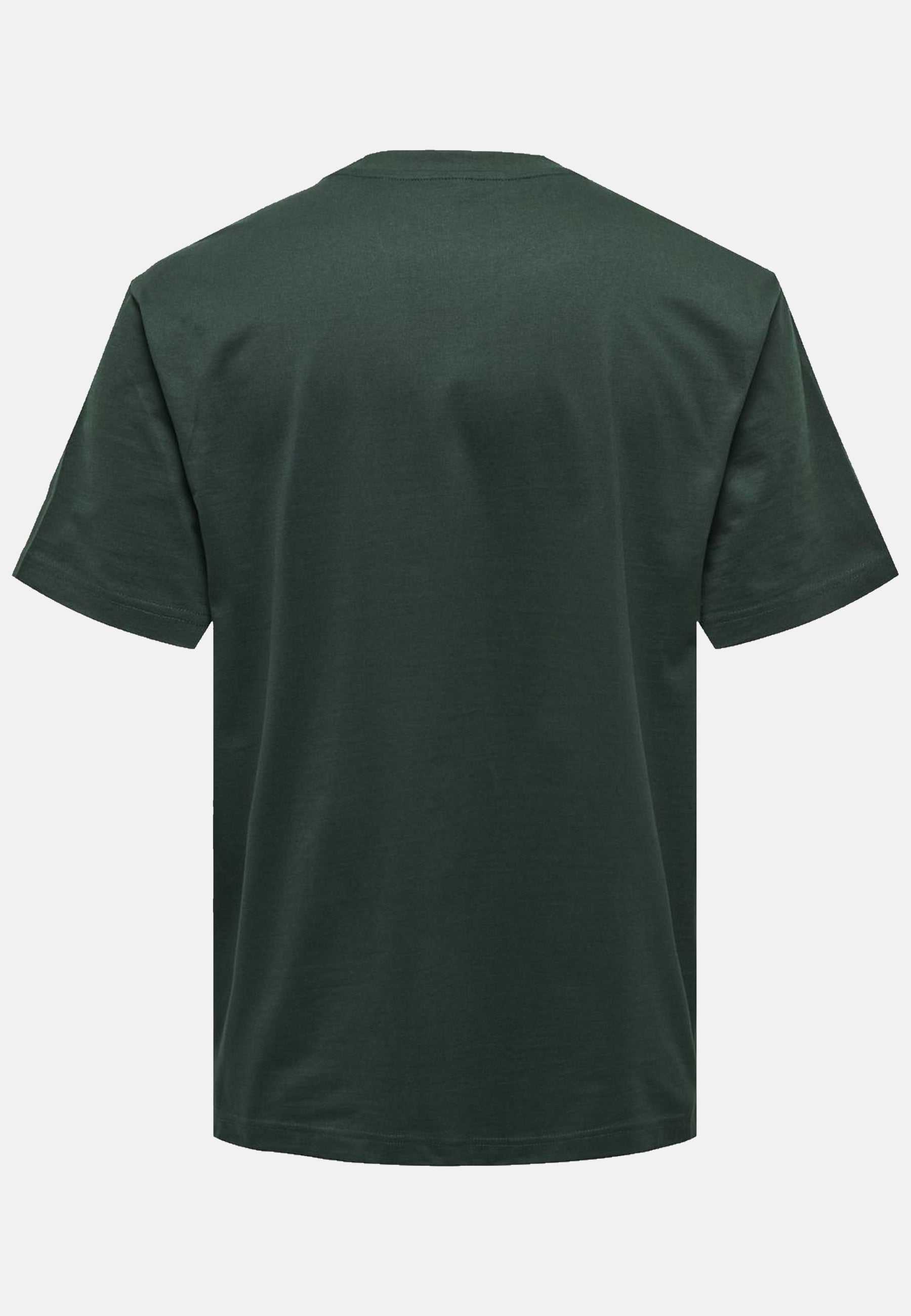 Only & Sons FRED LIFE Kurzarmshirt