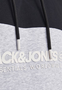 Jack & Jones LEGACY BLOCKING Hoodie