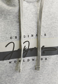 Jack & Jones FREDERIKSBERG Hoodie