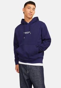 Jack & Jones VESTERBRO Hoodie