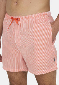 Only & Sons Ted Seersucker Swimshorts