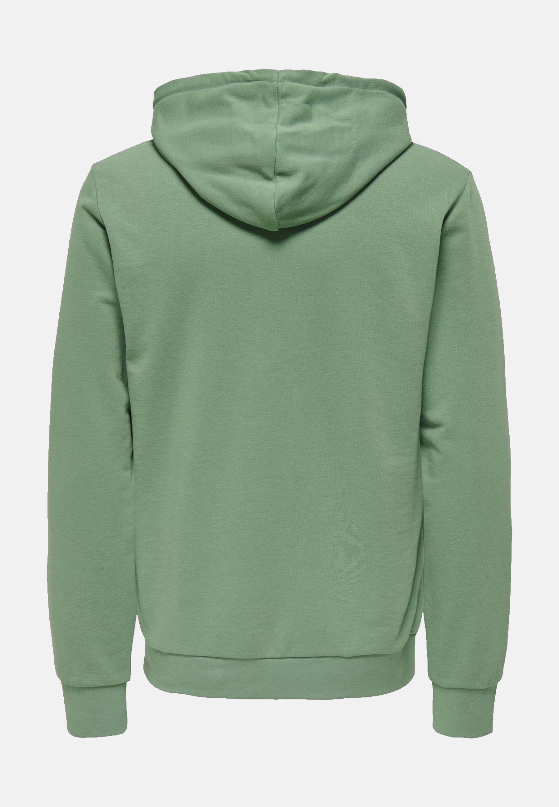 Only & Sons Lenny Reg Vintage Kapuzensweatshirt