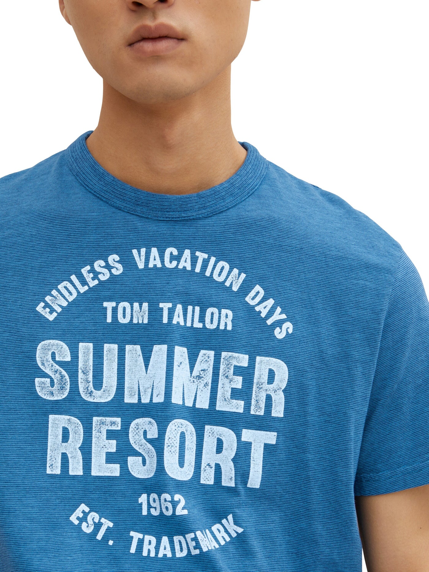 Tom Tailor Washed Printed Stripe Kurzarmshirt