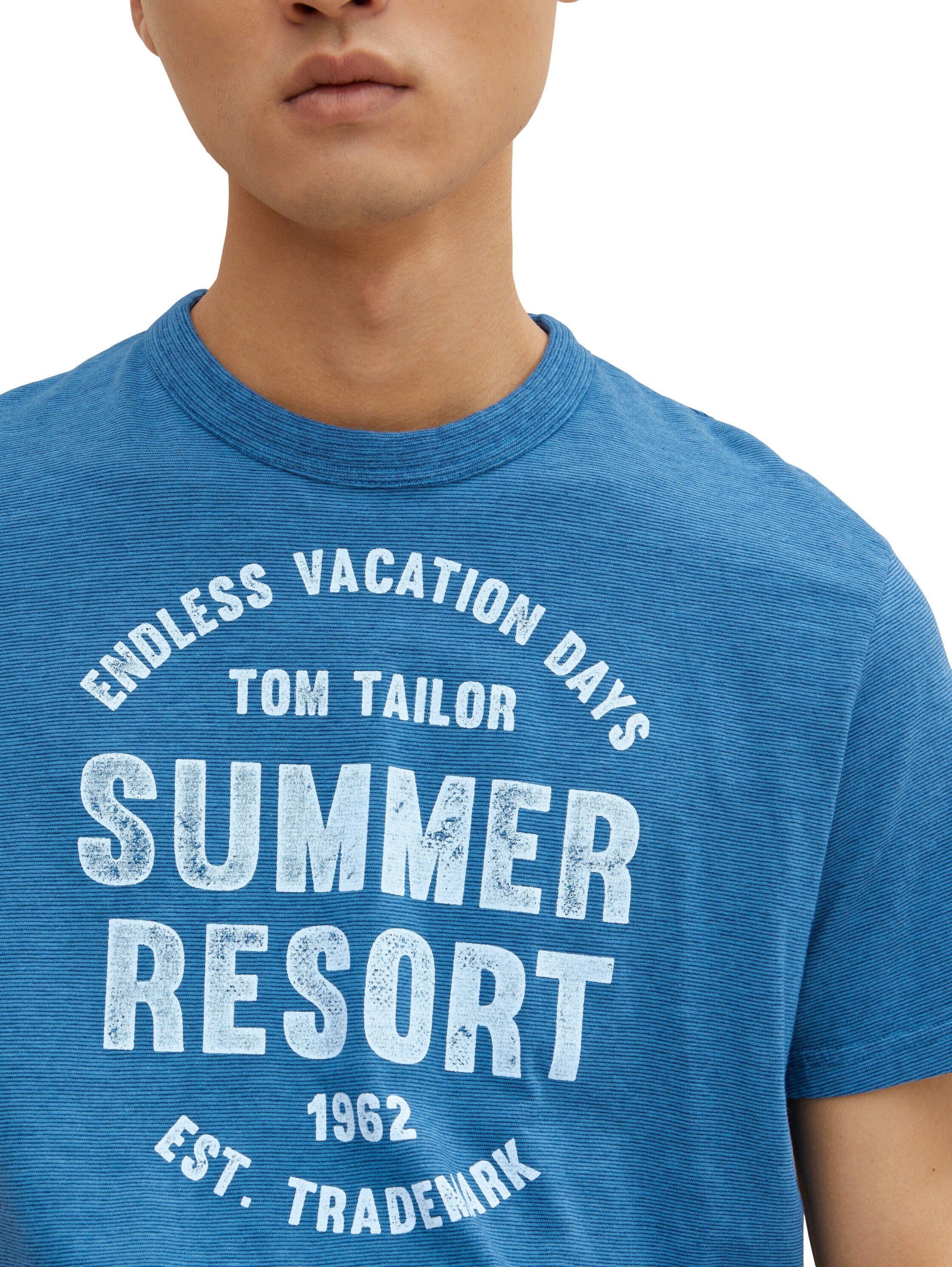 Tom Tailor Washed Printed Stripe Kurzarmshirt