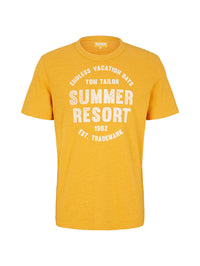 Tom Tailor Washed Printed Stripe Kurzarmshirt