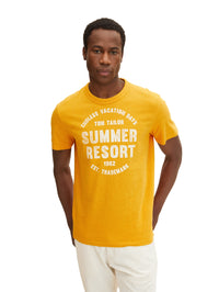 Tom Tailor Washed Printed Stripe Kurzarmshirt