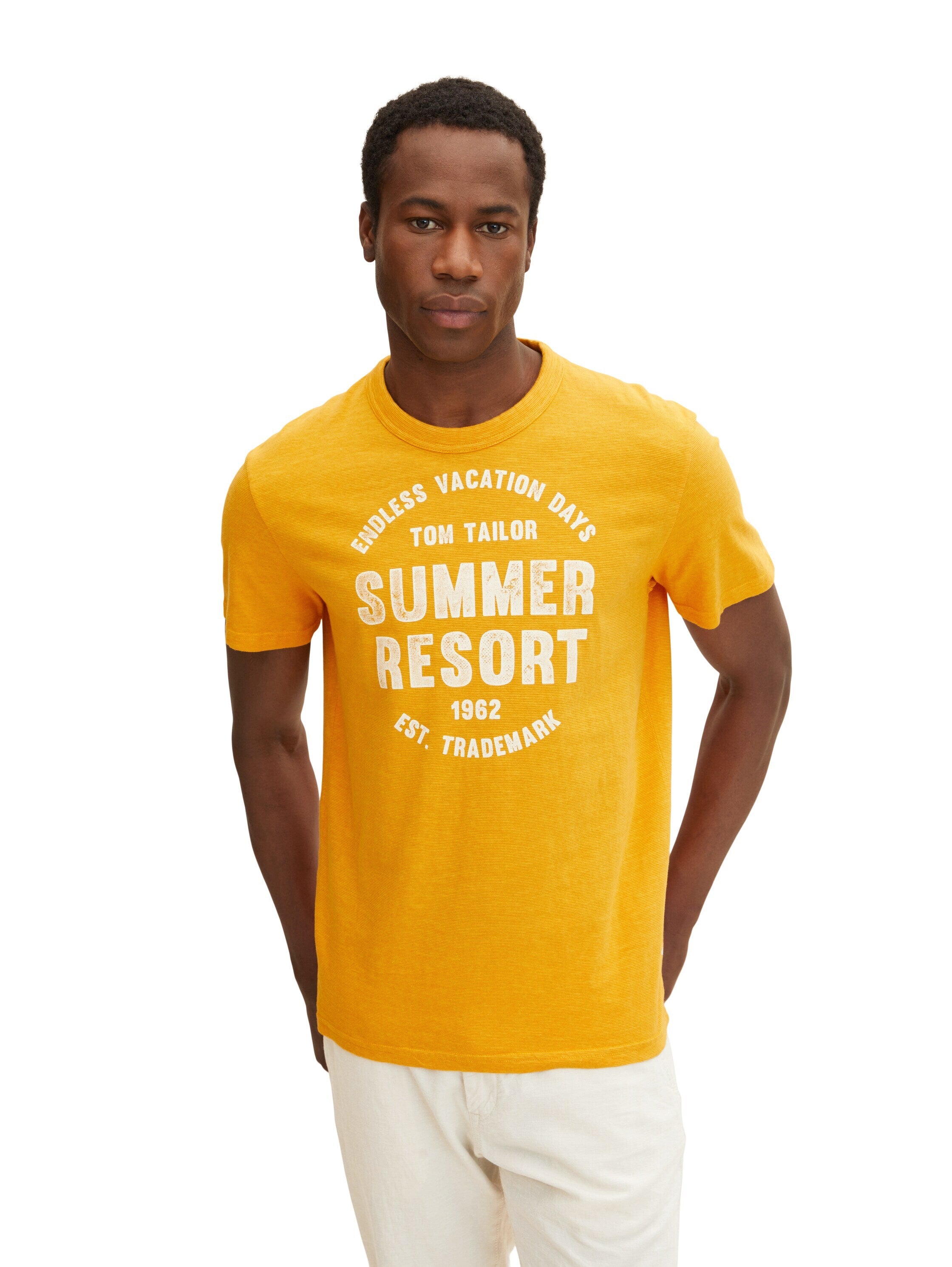 Tom Tailor Washed Printed Stripe Kurzarmshirt