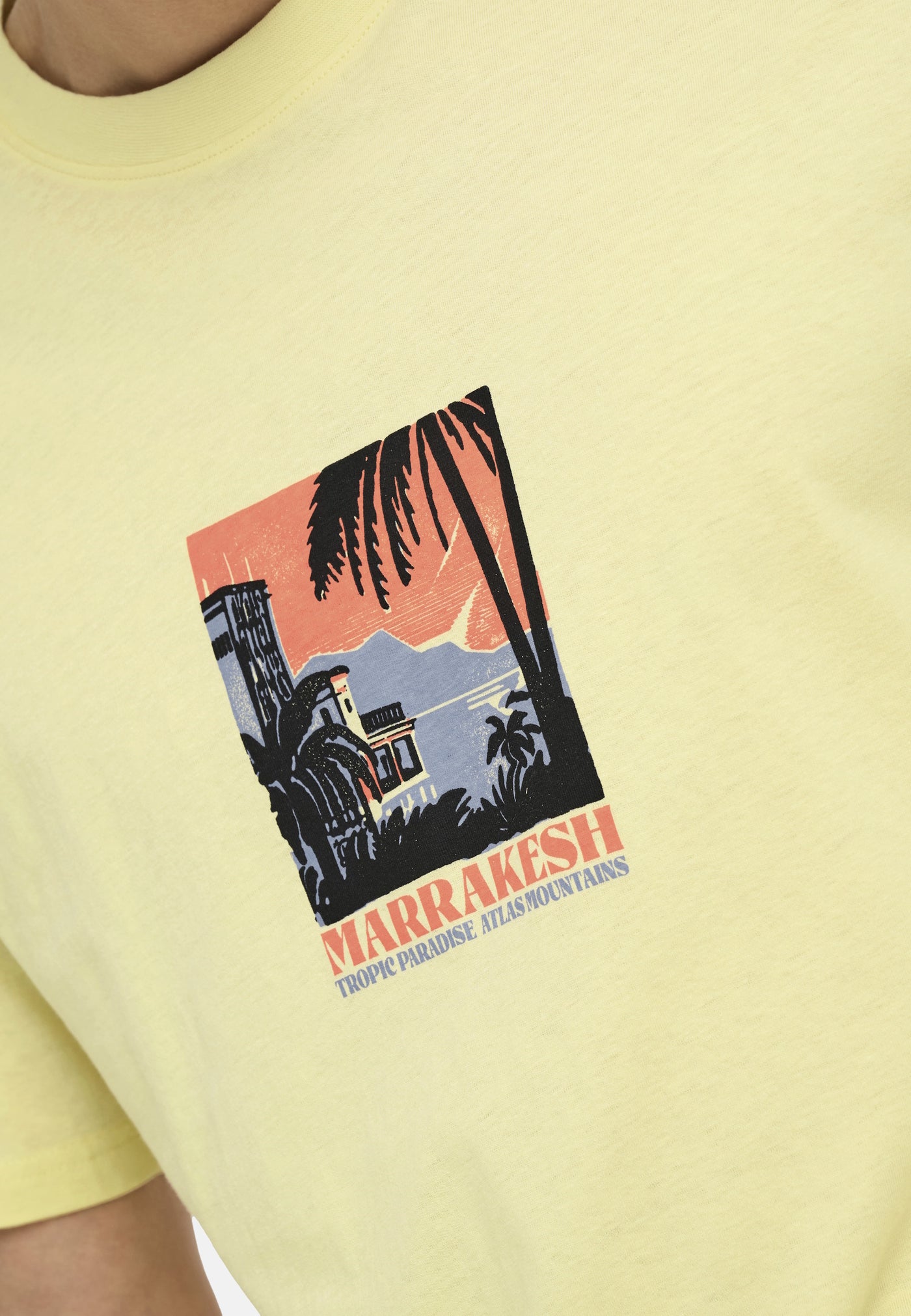Only & Sons Beane Rhaba Kurzarmshirt