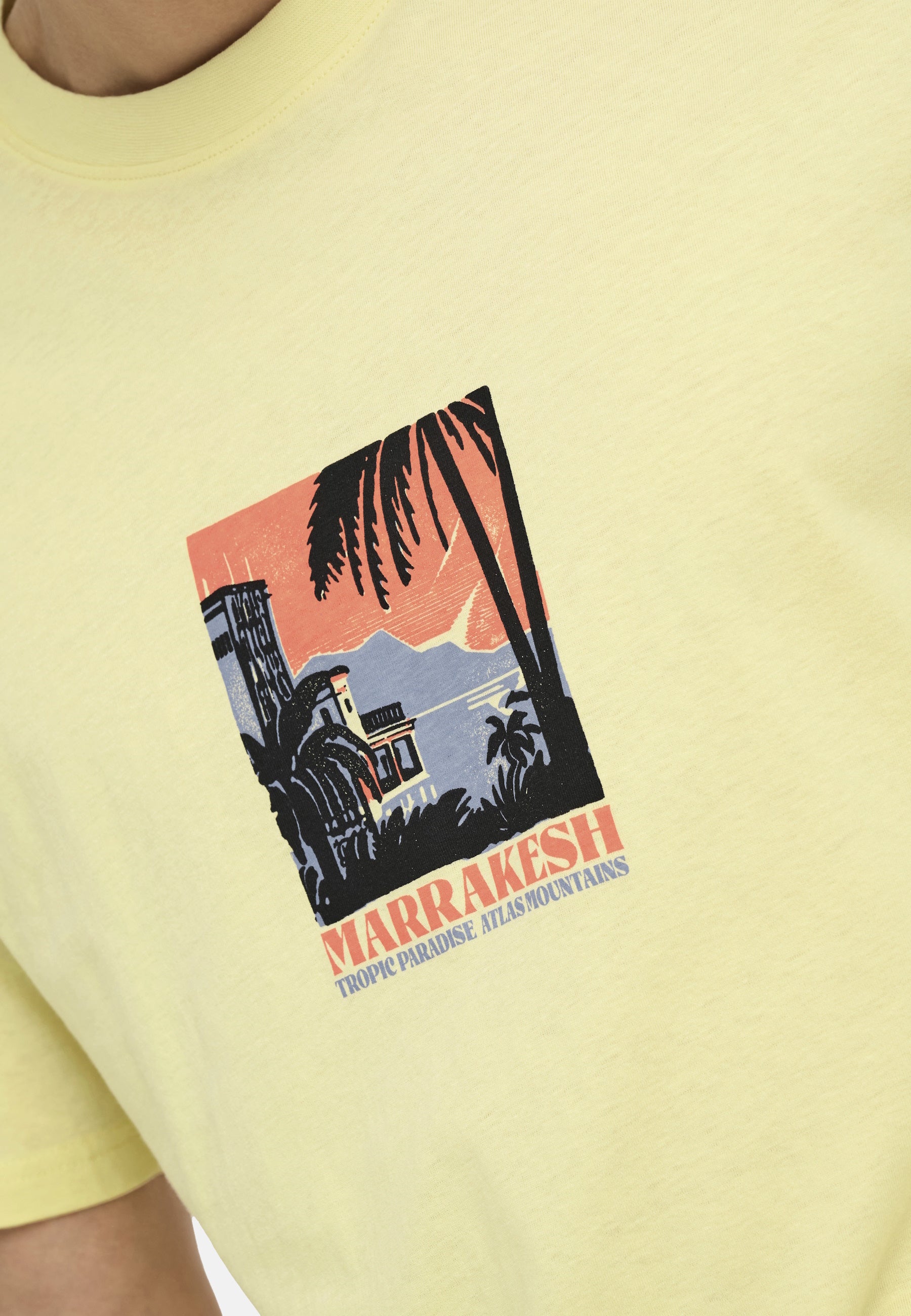 Only & Sons Beane Rhaba Kurzarmshirt