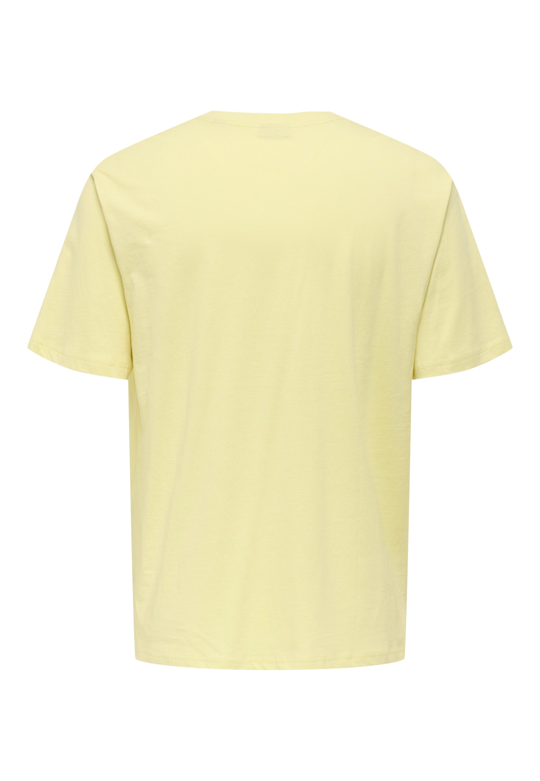 Only & Sons Beane Rhaba Kurzarmshirt