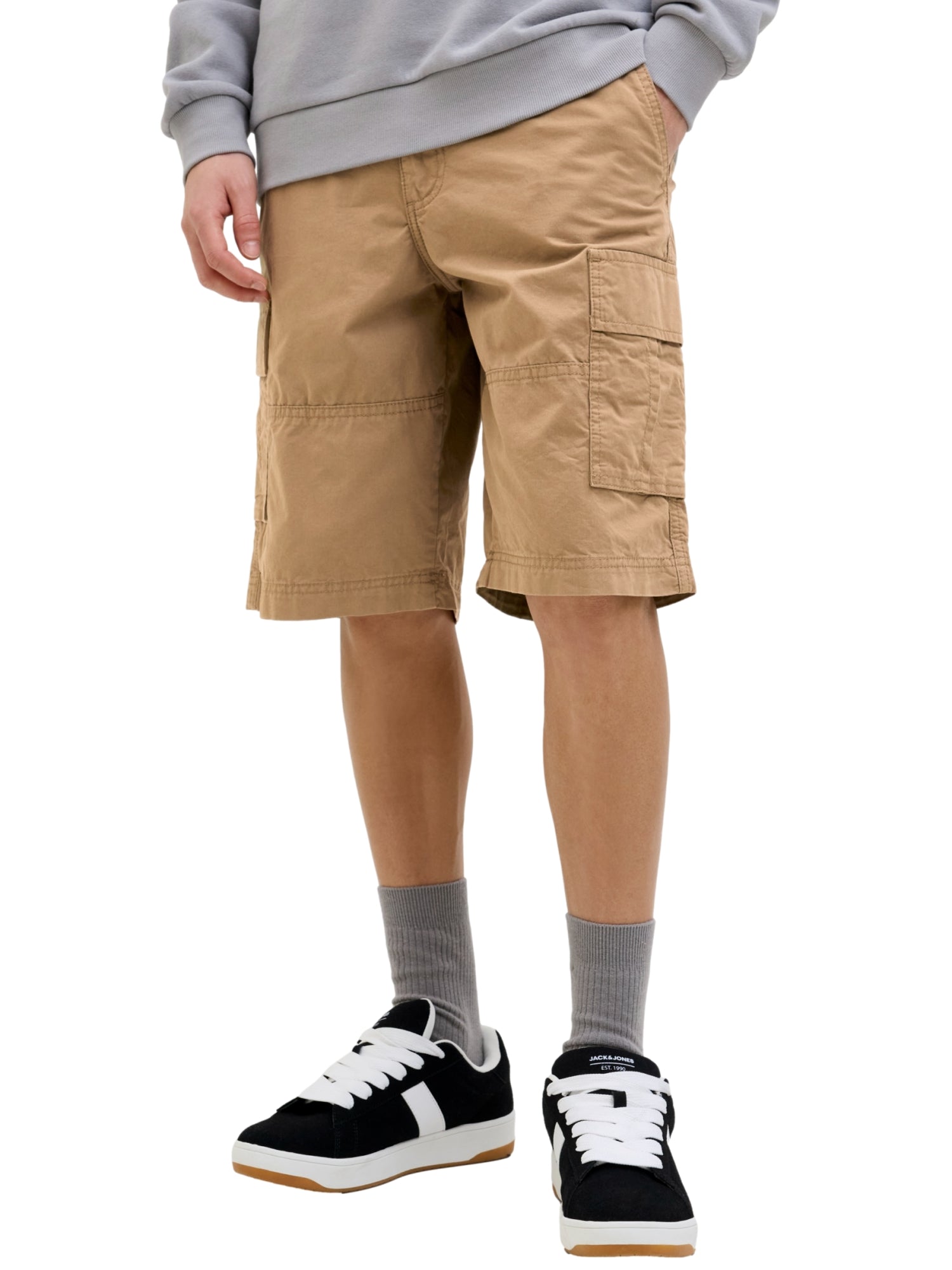 Jack & Jones JPSTCOLE MATEO Cargoshorts