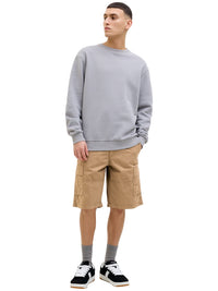 Jack & Jones JPSTCOLE MATEO Cargoshorts