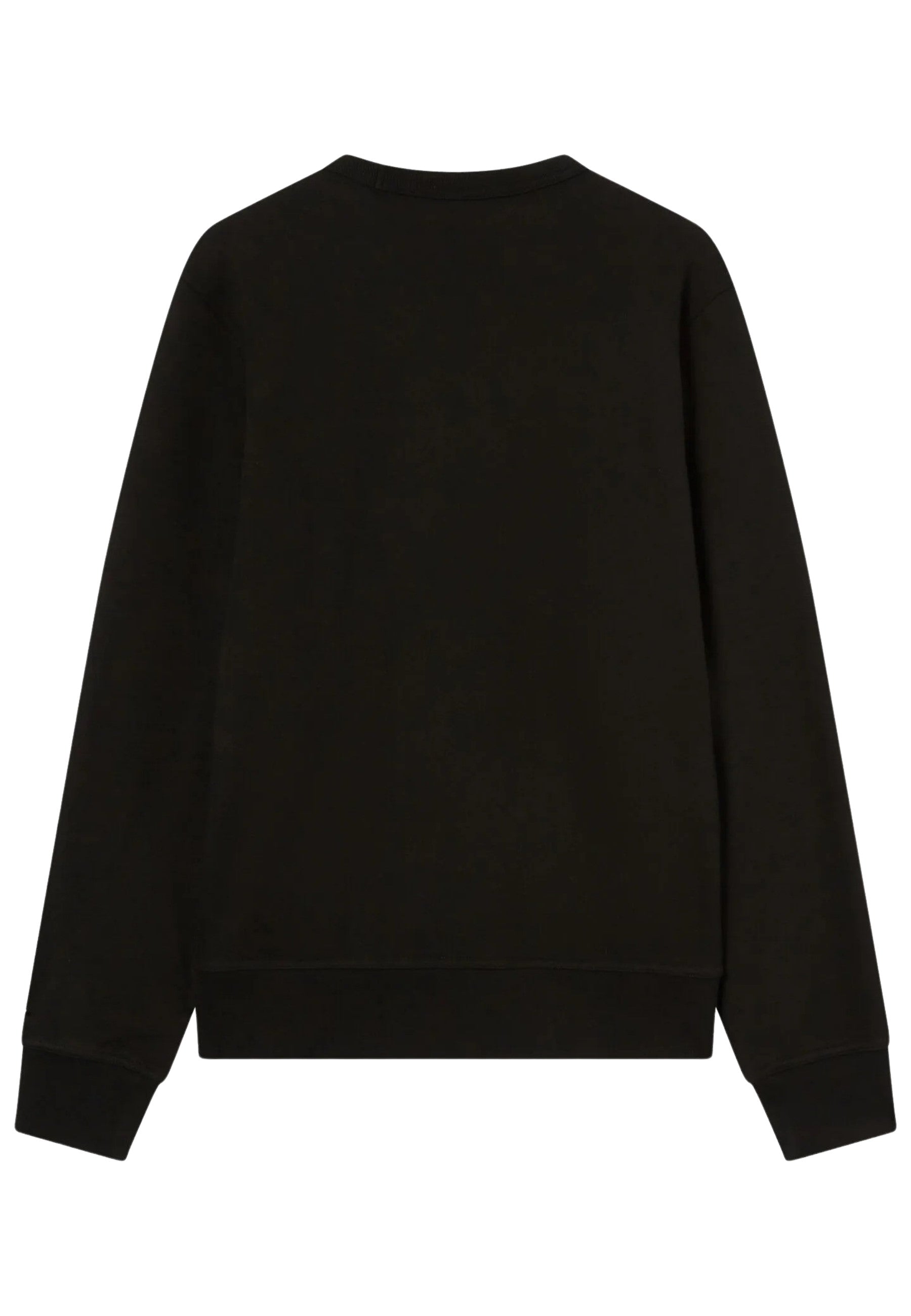 Champion Pullover