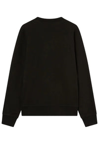 Champion Pullover