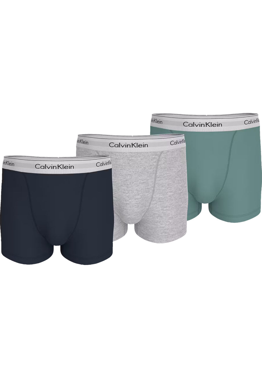 Calvin Klein Boxershorts 3er Pack