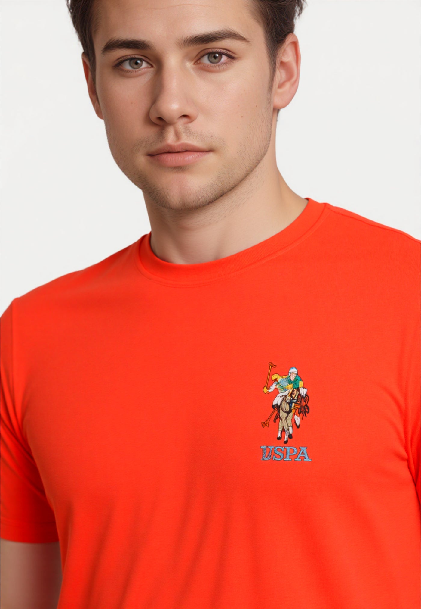 U.S. POLO Kurzarmshirt bunter Poloreiter