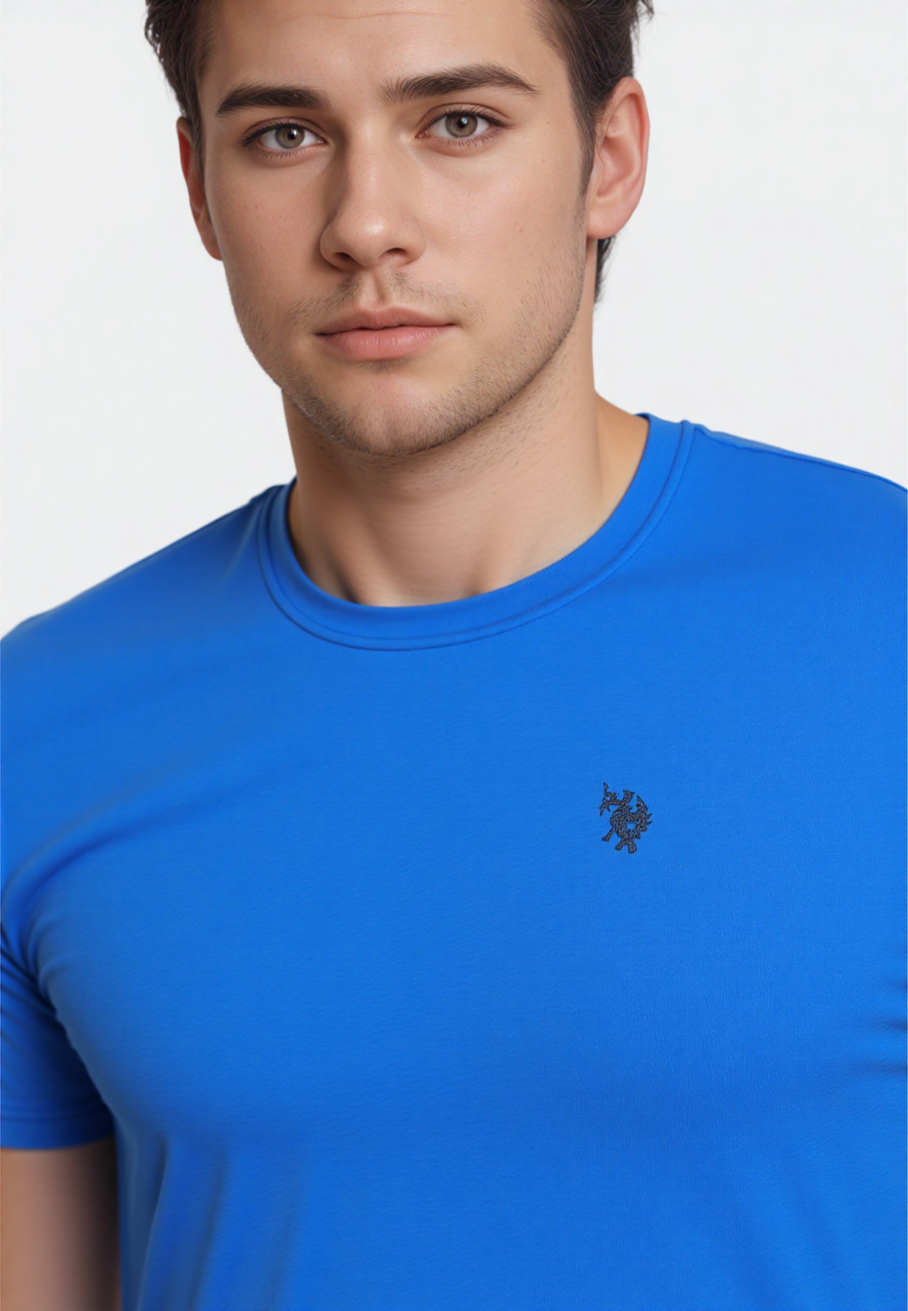 U.S. POLO Shortsleeve R-Neck