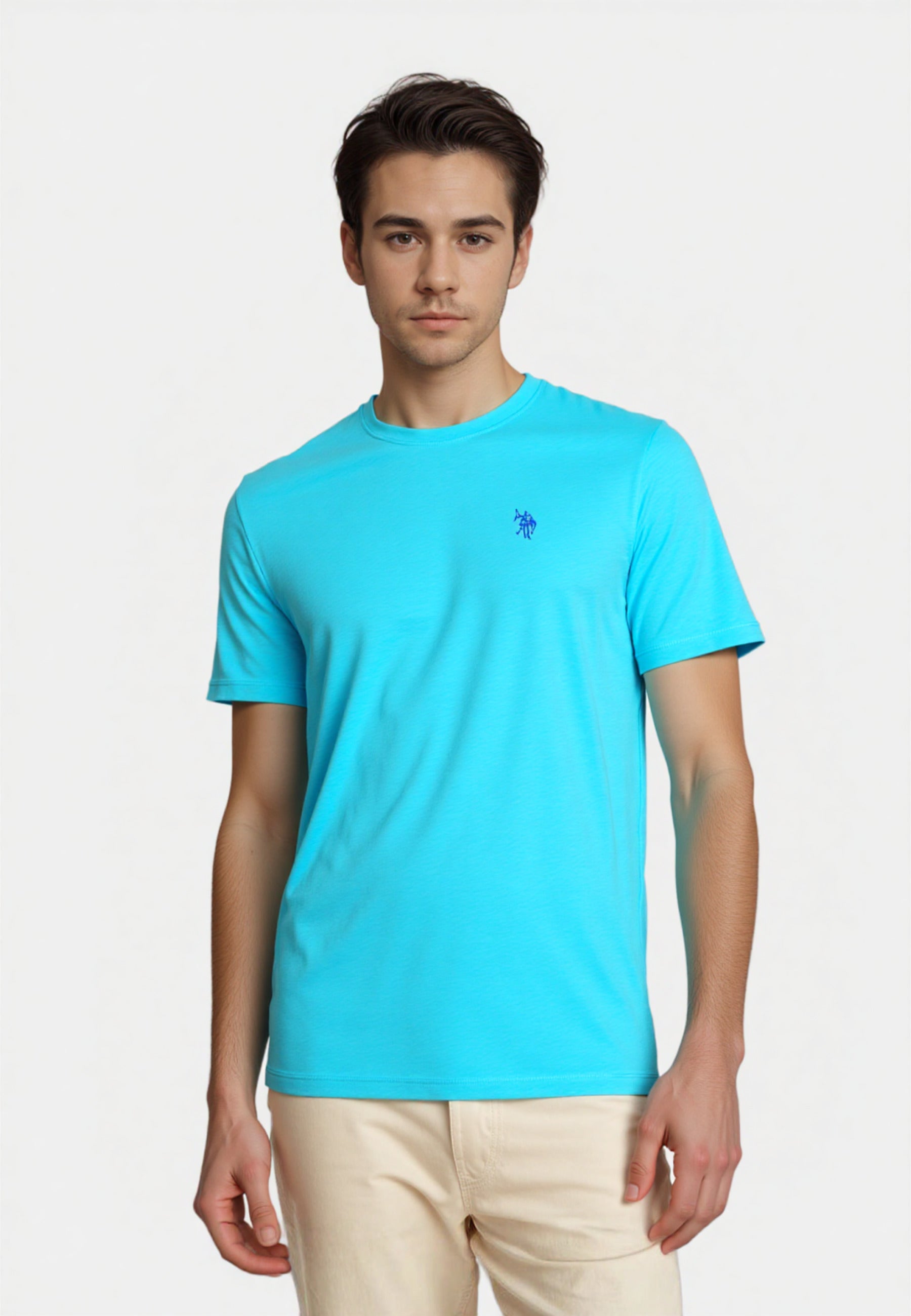 U.S. POLO T-Shirt Shortsleeve R-Neck