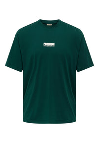 Only & Sons Passa Sun Kurzarmshirt