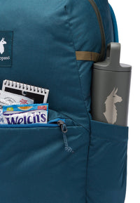 Cotopaxi Chiquillo 26l Backpack