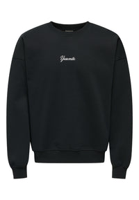 Only & Sons CONNOR Pullover